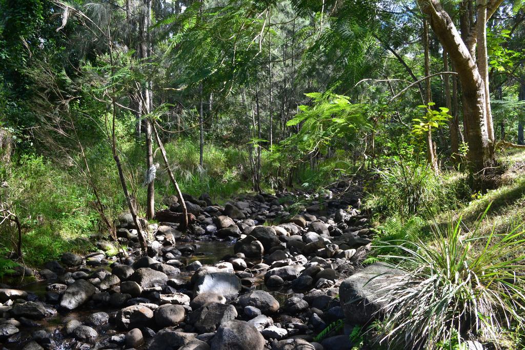 塔克豪华帐篷旅馆 Canungra 外观 照片