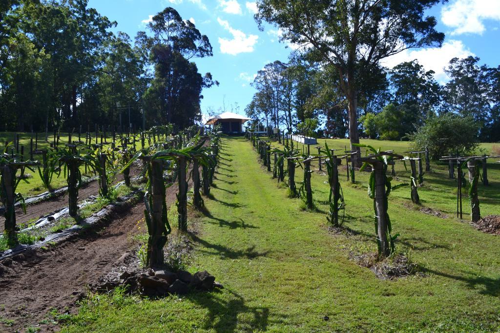 塔克豪华帐篷旅馆 Canungra 外观 照片