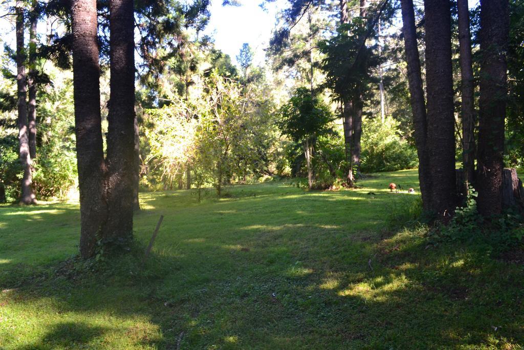 塔克豪华帐篷旅馆 Canungra 外观 照片