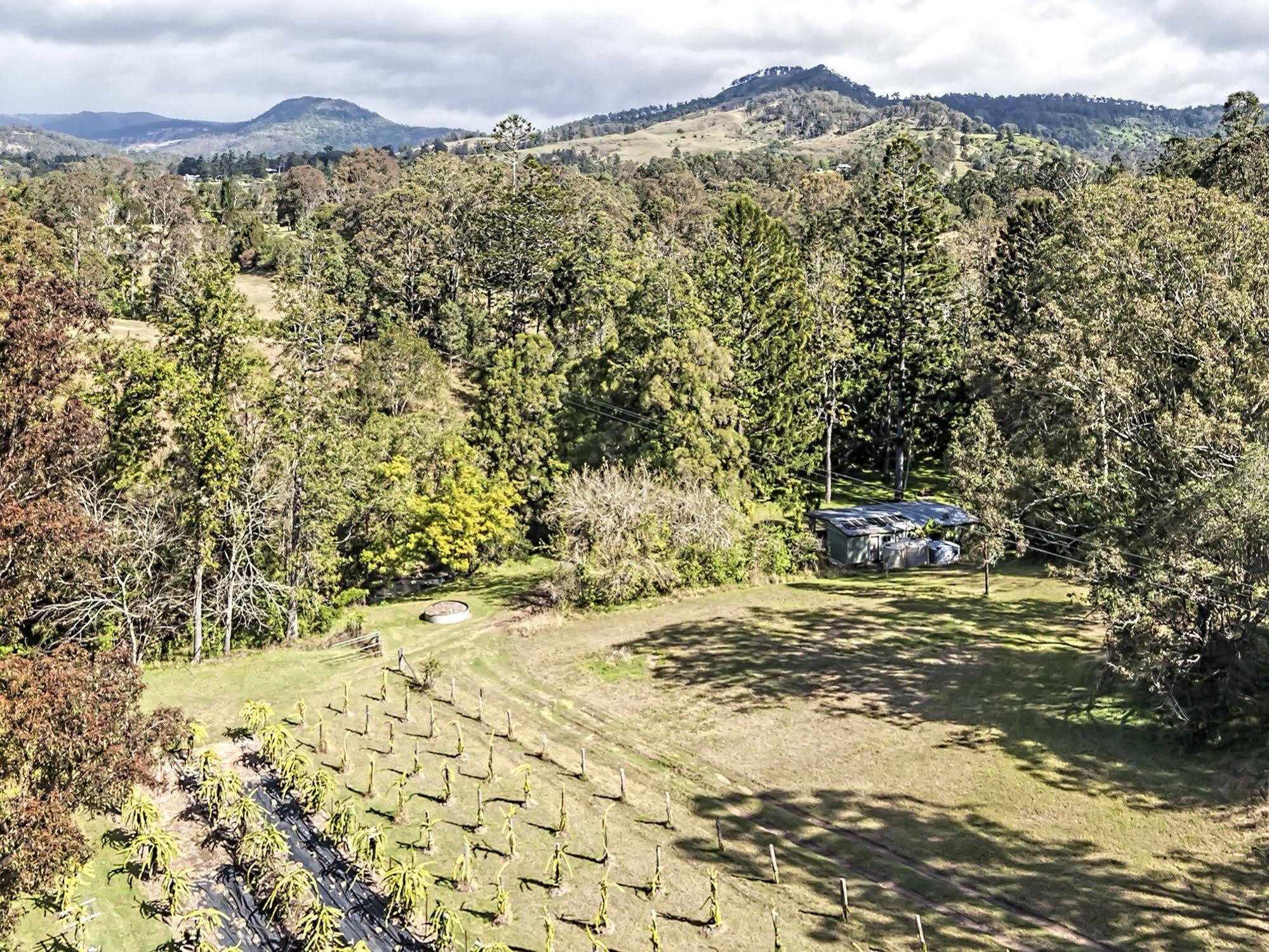 塔克豪华帐篷旅馆 Canungra 外观 照片